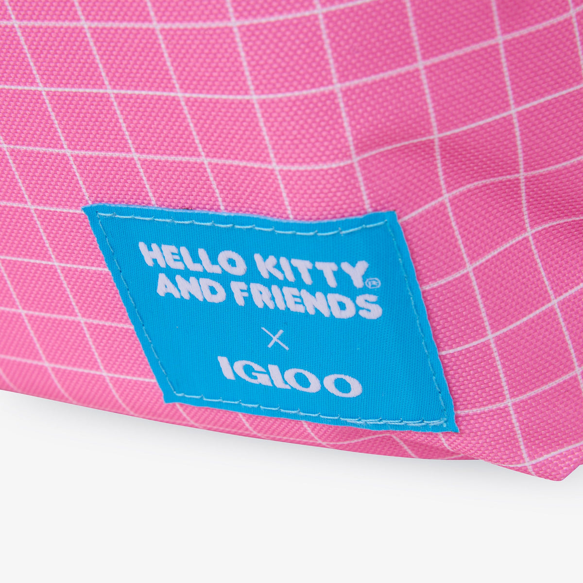 hello-kitty-and-friends-bff-mini-convertible-backpack-cooler-r6 00027591-L.jpg