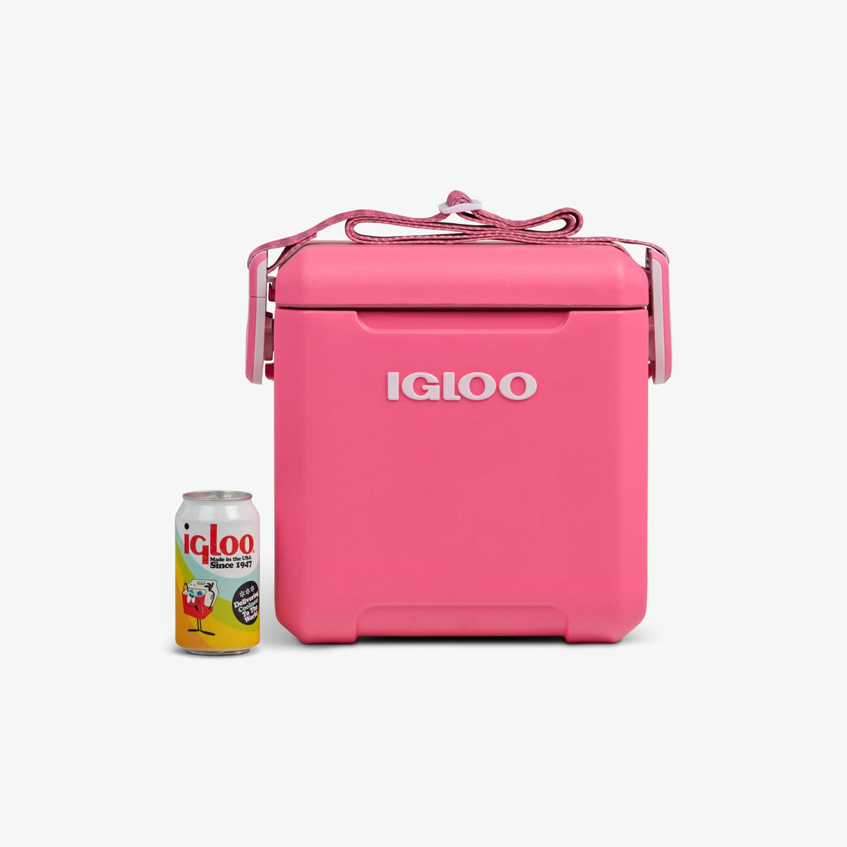 tag-along-too-remix-cooler-z7 00033199-P_861a5cd2-f15c-4217-a471-e33cc3890d9e.jpg