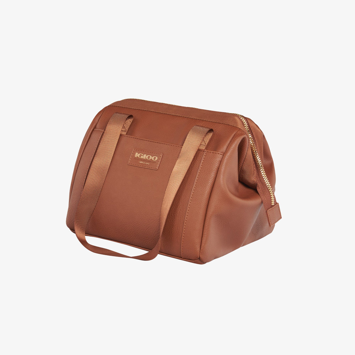 igloo-luxe-lunch-tote-cooler-bag-e0 00061160_2.jpg