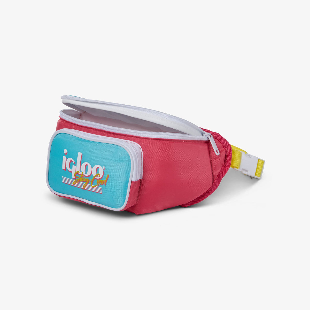 retro-fanny-pack-x8 00066058-O1.jpg