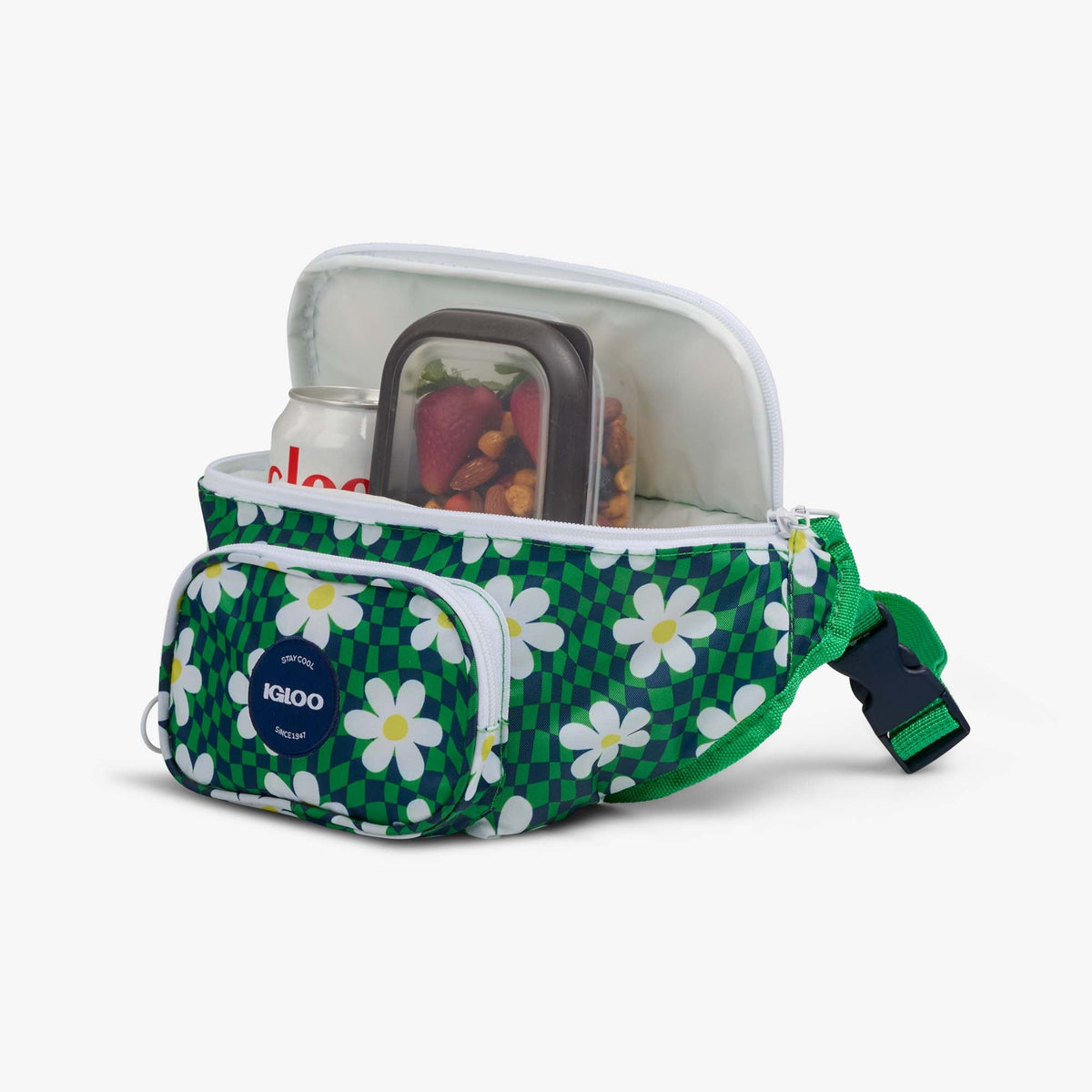 retro-fanny-pack-x8 00067206-P1.jpg