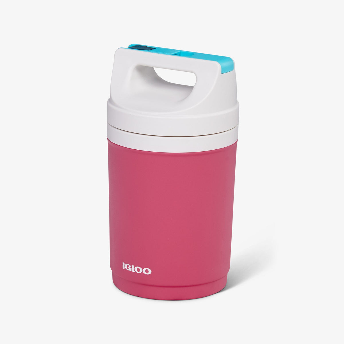 retro-playmate-half-gallon-jug-p6 00070862-H1.jpg